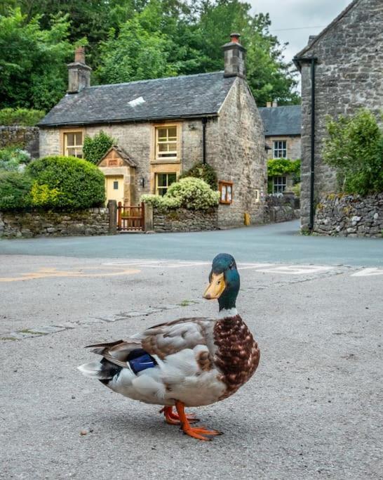 Duck Cottage Milldale Alstonefield Peak District Alstonfield Exterior foto